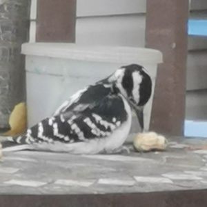 Meet your Posher, Myrna